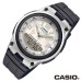 Casio Youth Analog-Digital AW-80-7A2VDF